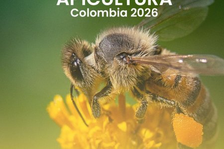 El Valle del Cauca acogerá el Tercer Congreso Internacional de Apicultura