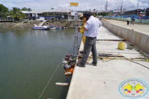 Nuevo puente El Piñal estaría listo a mediados de julio