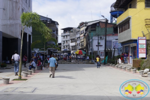 Bolardos del Bulevar del Centro están siendo dañados por inescrupulosos