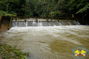 Suspensiones sucesivas por turbiedad, agravan prestación del servicio de agua en Buenaventura 