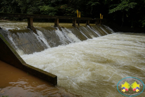 Suspensiones sucesivas por turbiedad, agravan prestación del servicio de agua en Buenaventura 