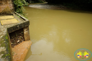 Suspensiones sucesivas por turbiedad, agravan prestación del servicio de agua en Buenaventura 