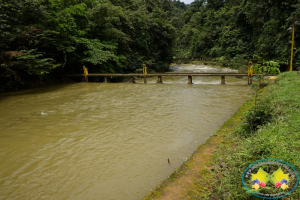 Suspensiones sucesivas por turbiedad, agravan prestación del servicio de agua en Buenaventura 