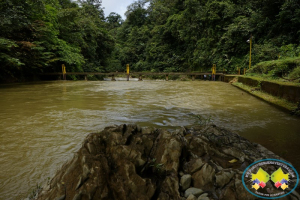 Suspensiones sucesivas por turbiedad, agravan prestación del servicio de agua en Buenaventura 