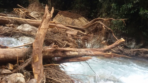 Guardabosques de San Cipriano ingresaron a la zona del derrumbe que presenta el río Escalerete