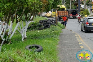 El EPA recogió mil quinientas llantas en diferentes focos 