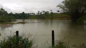 Alerta por creciente del río Dagua en el corregimiento de Zacarías en Buenaventura