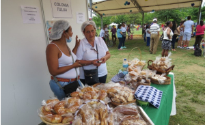 Exitoso balance dejó Feria de Colonias de Cali