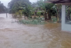 Creciente afectó viviendas en Sabaletas 