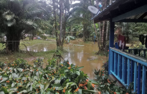 Creciente afectó viviendas en Sabaletas 