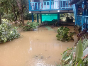 Creciente afectó viviendas en Sabaletas 