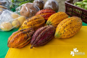 En el marco de la campaña Cosecha Solidaridad, consejos comunitarios aportaron de sus alimentos para la zona urbana de Buenaventura