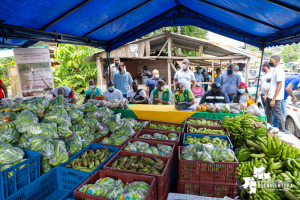 En el marco de la campaña Cosecha Solidaridad, consejos comunitarios aportaron de sus alimentos para la zona urbana de Buenaventura