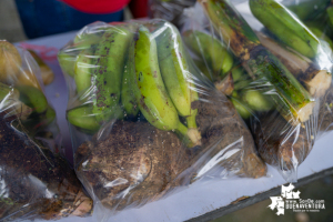 En el marco de la campaña Cosecha Solidaridad, consejos comunitarios aportaron de sus alimentos para la zona urbana de Buenaventura