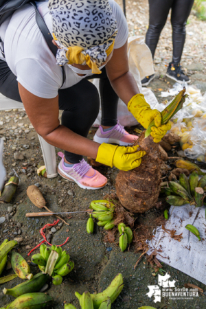 En el marco de la campaña Cosecha Solidaridad, consejos comunitarios aportaron de sus alimentos para la zona urbana de Buenaventura