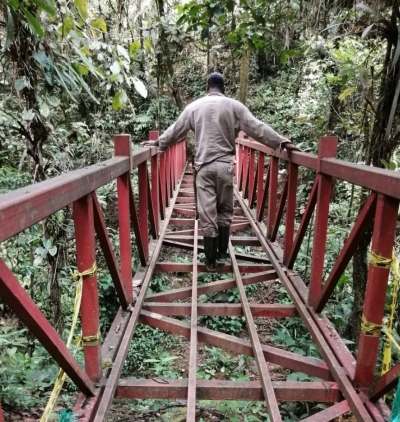 La Administración Distrital de Buenaventura busca extender convenio con FONTUR para la finalización de sendero turístico en San Cipriano