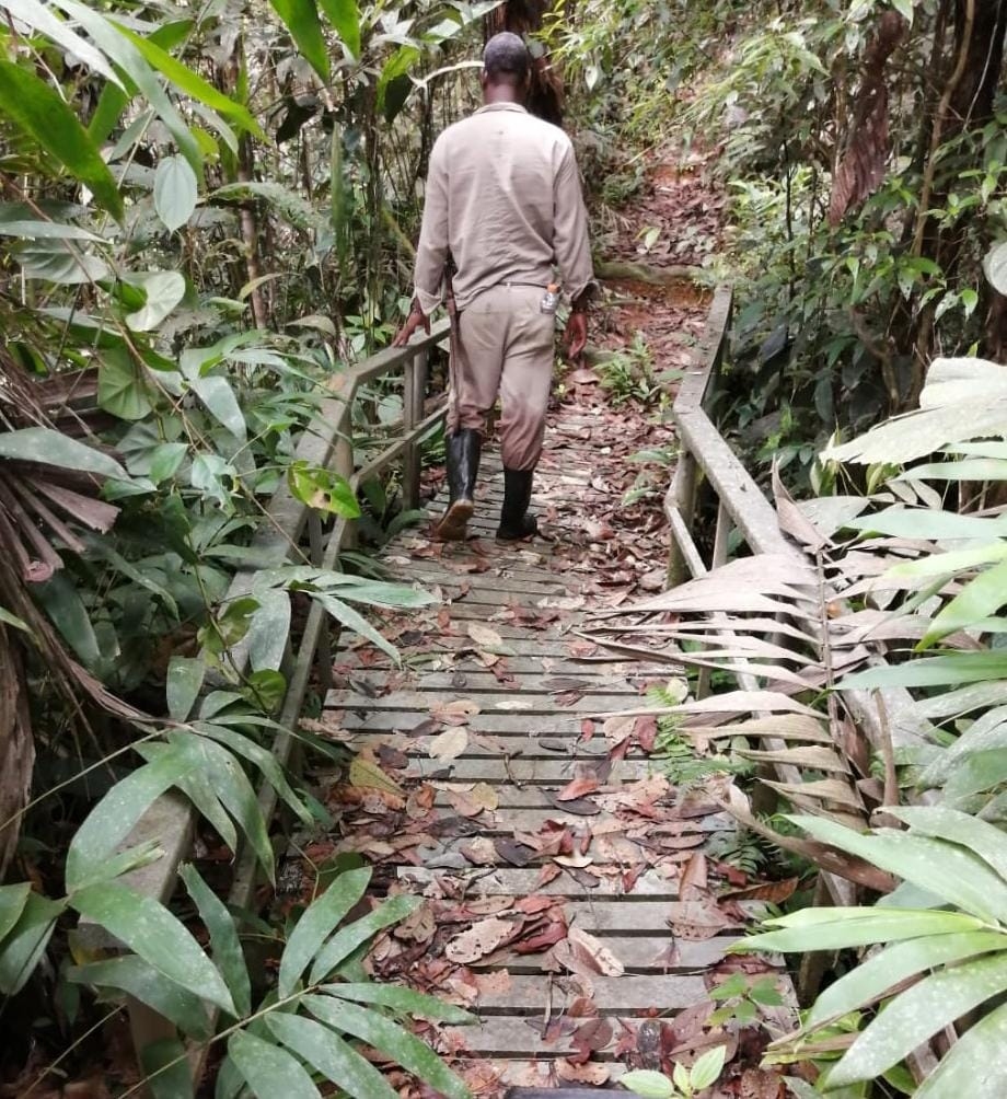 Buscan culminar sendero ecoturístico y otras obras en San Cipriano 