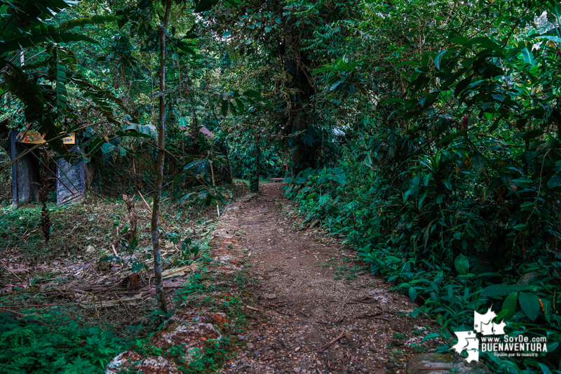 San Cipriano descubre su riqueza natural y prepara a sus jóvenes como investigadores ‘Junior’ en proyecto financiado con regalías