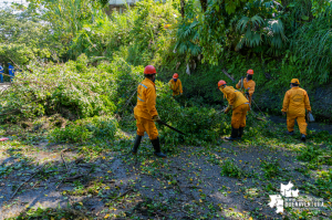 Fueron muchos los llamados de la comunidad afectada por vendaval en Buenaventura