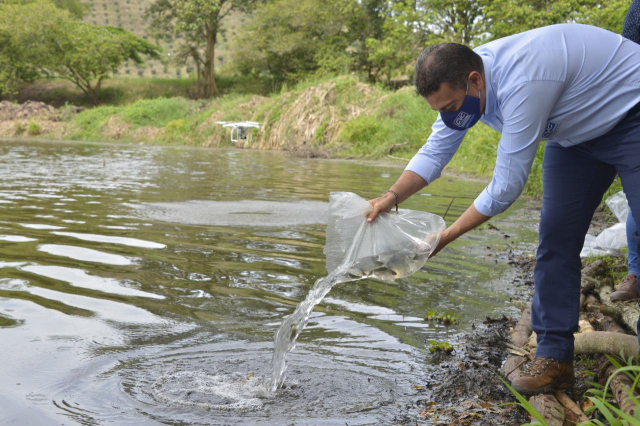 La CVC analiza calidad del agua de humedales del Valle del Cauca