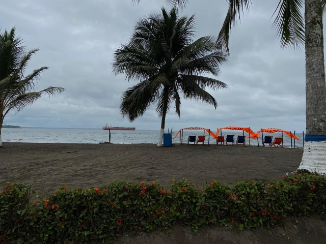 La Dimar lideró webinar con visión turística en Buenaventura 