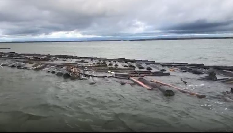 La Armada de Colombia incautó 577 trozas de madera en la bahía de Buenaventura