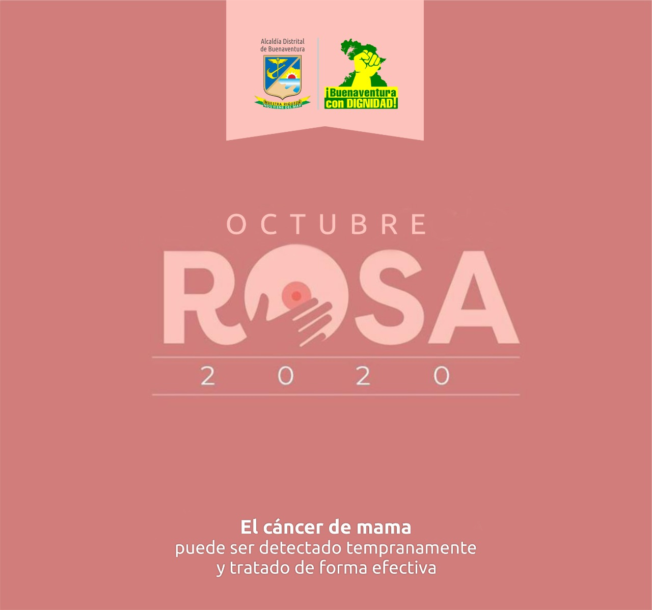 Octubre, mes rosa para detectar el cáncer de mama