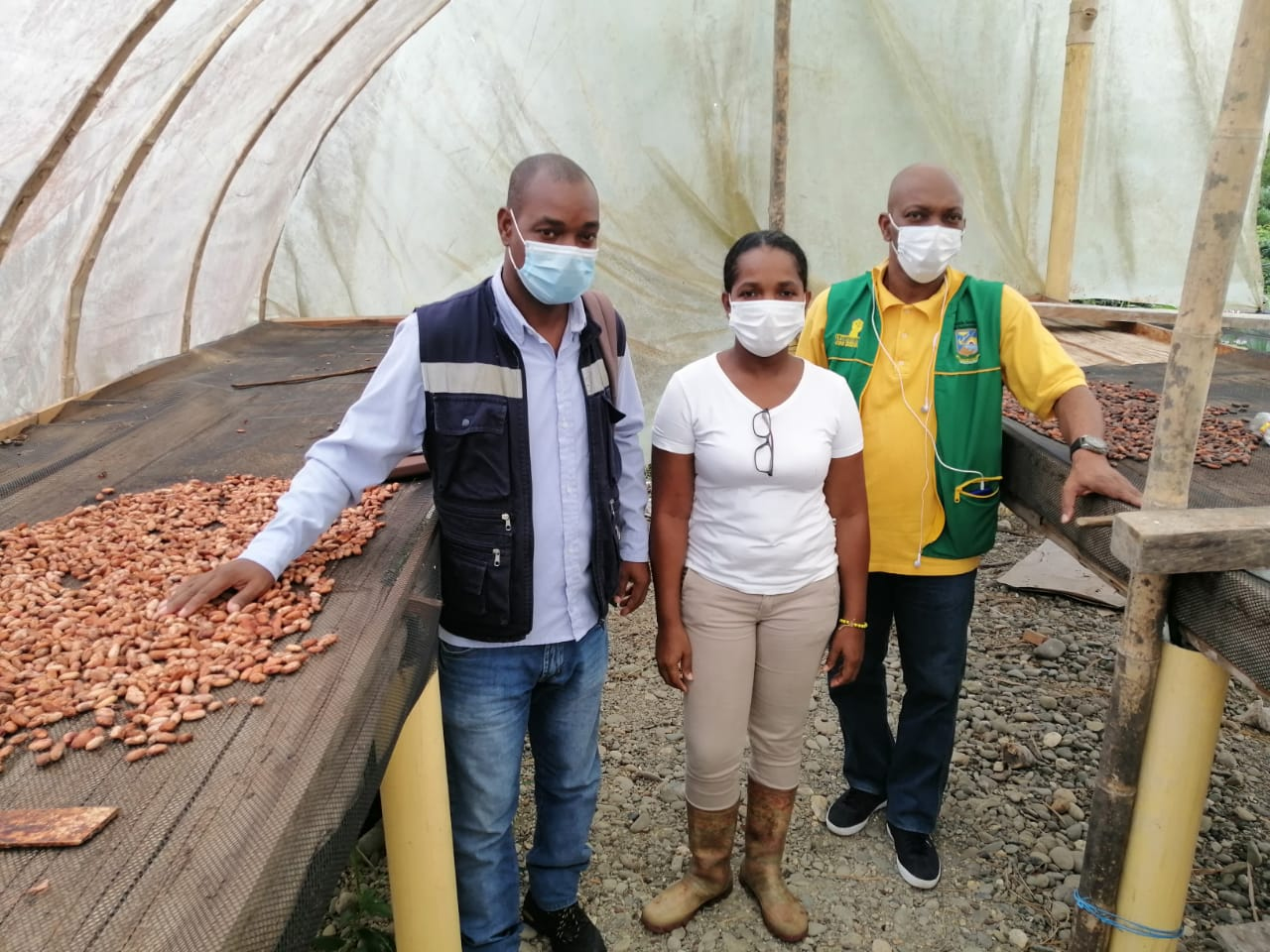 Productores de cacao y papachina del Bajo Calima recibirán apoyo técnico 