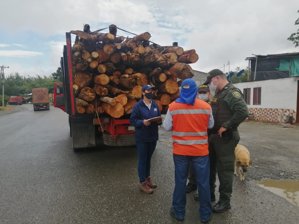 La CVC no baja la guardia frente al tráfico ilegal de madera