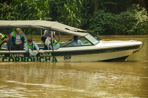 80.000 alevinos llenan de vida el río Cauca