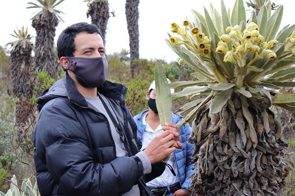 La CVC y El Batallón de Alta Montaña acompañaron recorrido de expertos en visita a zona de páramo para identificar especies cultivadas en Barragán