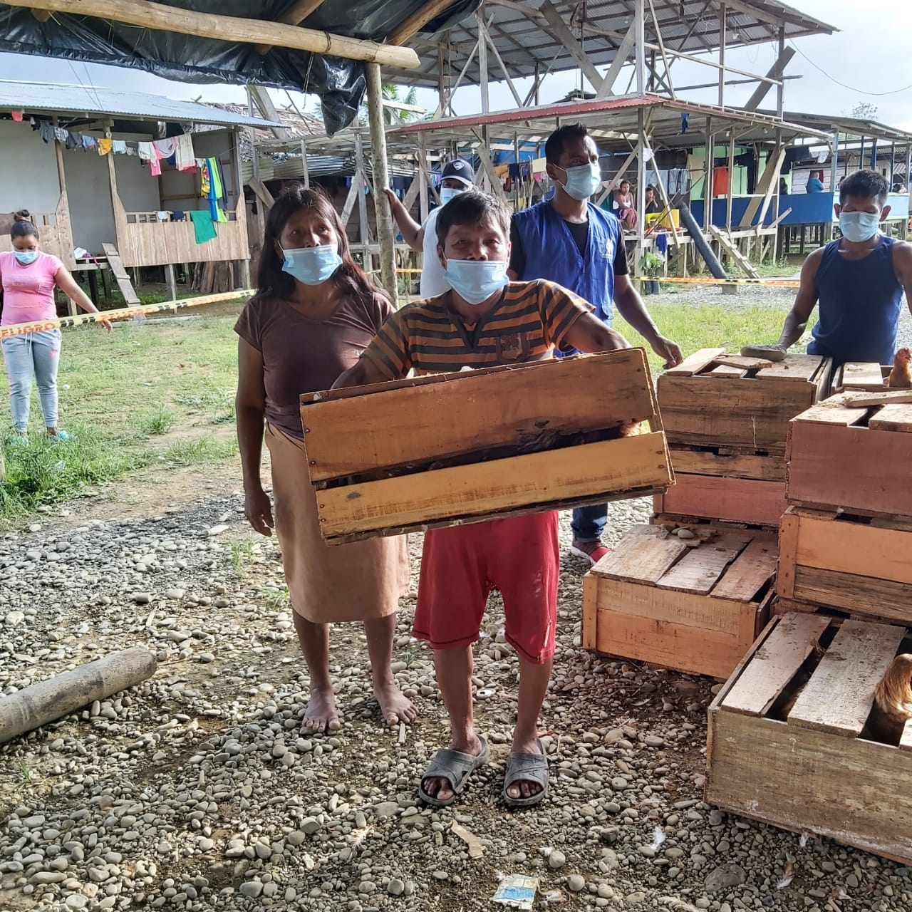 117 hogares indígenas de Buenaventura recibieron insumos para producción avícola y de frutales 