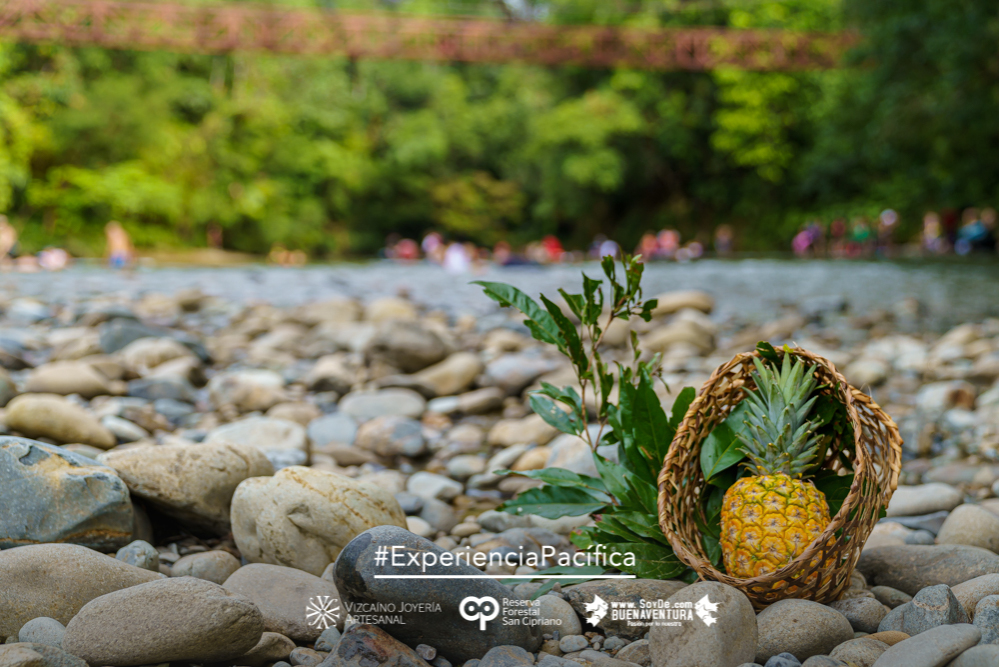 Una #ExperienciaPacífica que te conecta con la naturaleza y el ecoturismo en el Distrito Especial de Buenaventura