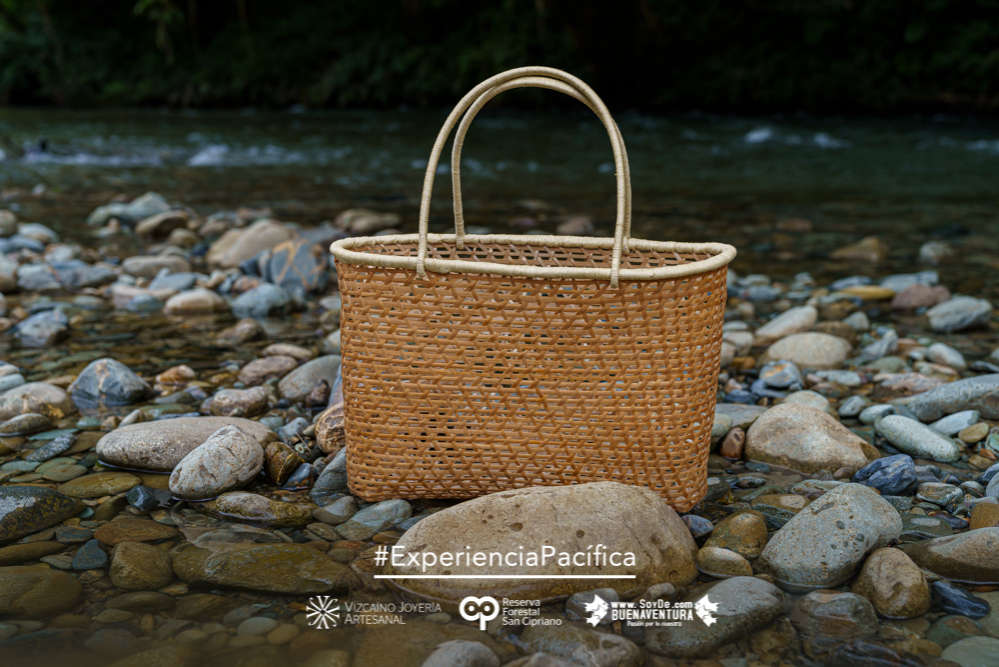 Una #ExperienciaPacífica que te conecta con la naturaleza y el ecoturismo en el Distrito Especial de Buenaventura