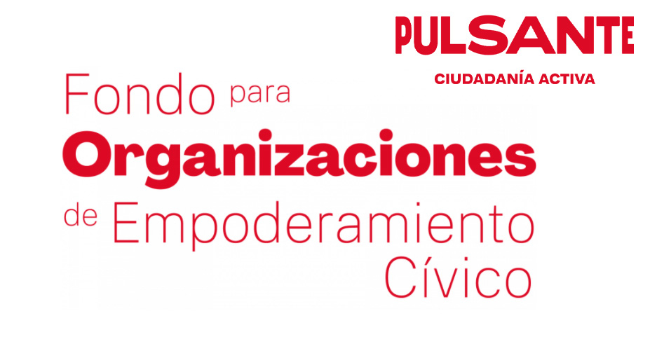 Buscas fondos para tu fundación? Aplica a pulsante