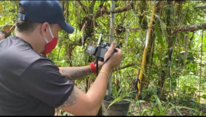 Turismo científico: la nueva oferta de la Reserva Forestal San Cipriano