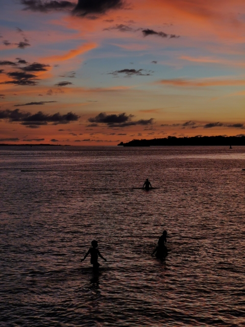 Un atardecer, un cangrejo y un reptil, imágenes ganadoras de concurso de foto ambiental