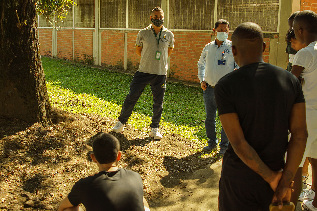 La CVC capacitará a jóvenes infractores para dar manejo a la hormiga arriera