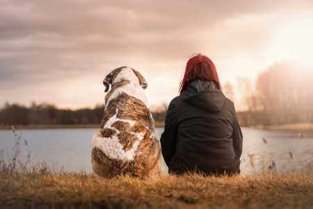 Conoce las mejores recomendaciones para viajar con tu mejor amigo de 4 patas