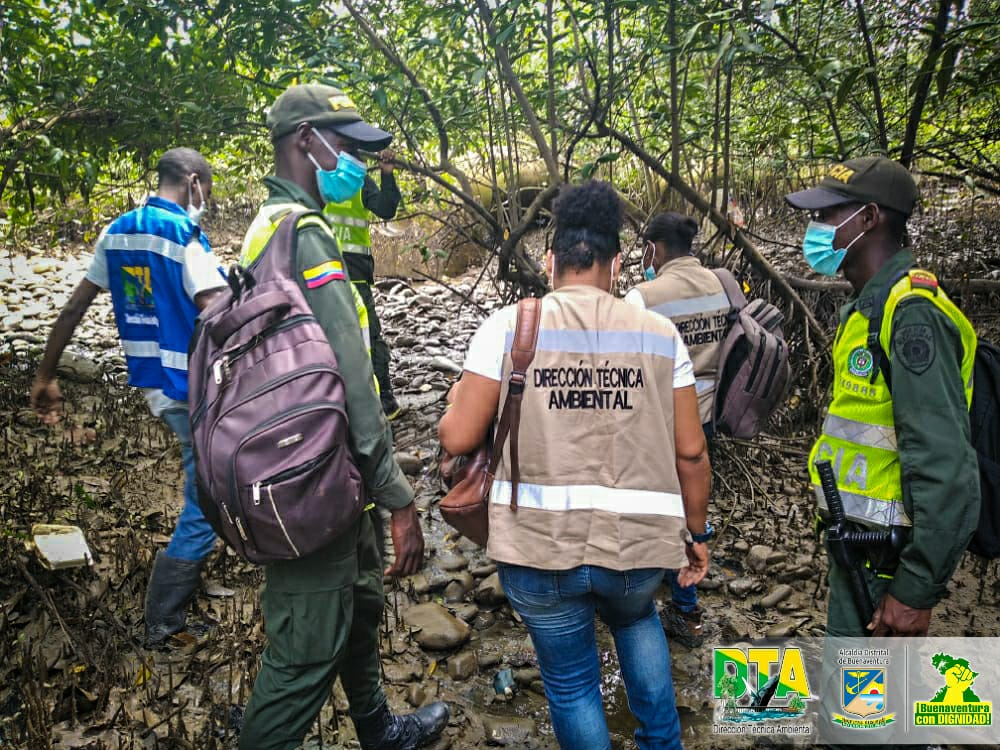 La Dirección Técnica Ambiental y la Corporación de Gestores Ambientales del Pacífico buscan llegar a cero residuos sólidos en los manglares de la bahía de Buenaventura