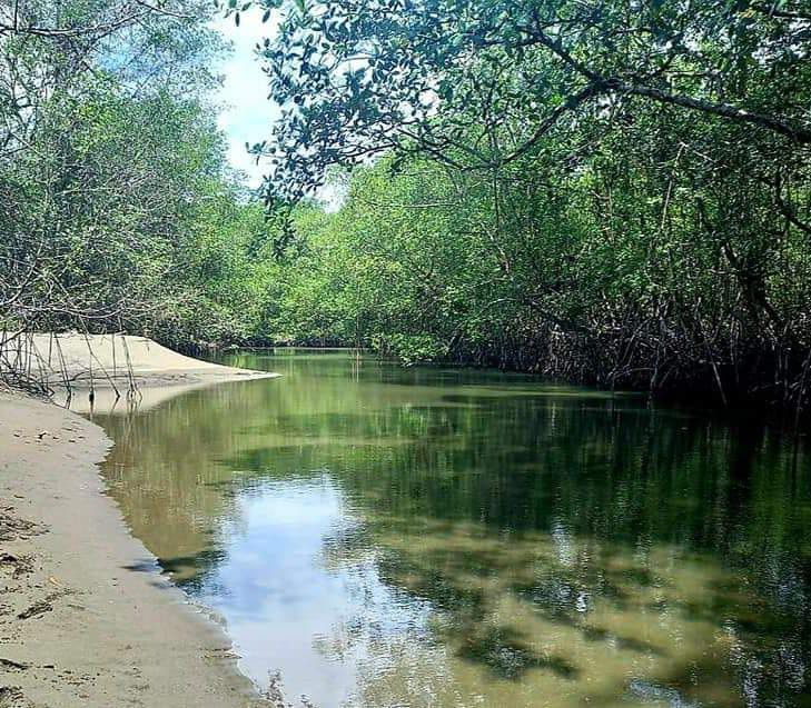 En Punta Soldado se dará reapertura al turismo el 30 de julio 