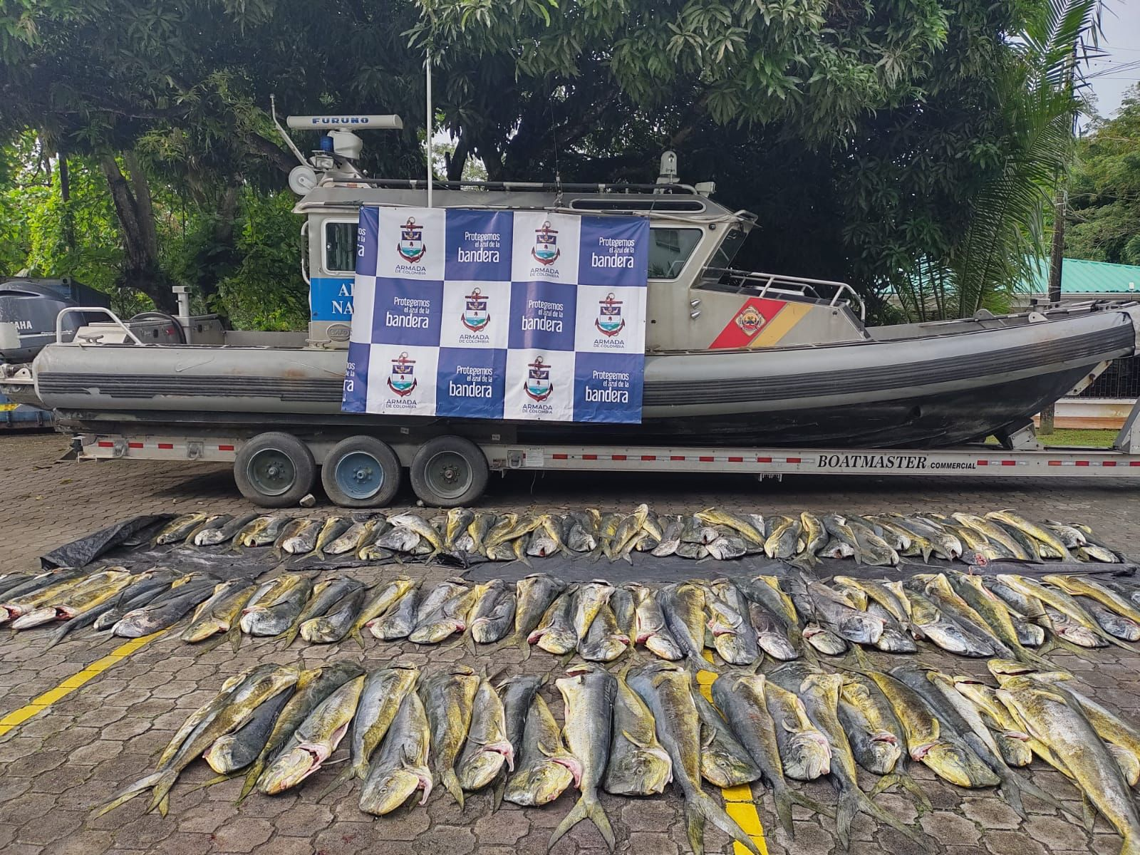 Interceptan tres lanchas de bandera extranjera con 1.6 toneladas de pesca ilegal en el pacífico nariñense