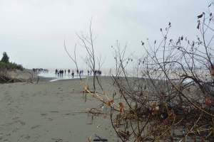 Isla Ají se muestra al mundo, 24600 hectáreas de biodiversidad única en el río Naya, Buenaventura