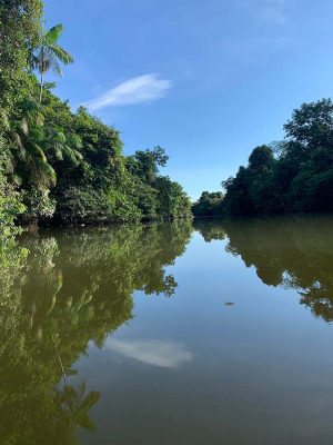 Isla Ají se muestra al mundo, 24600 hectáreas de biodiversidad única en el río Naya, Buenaventura