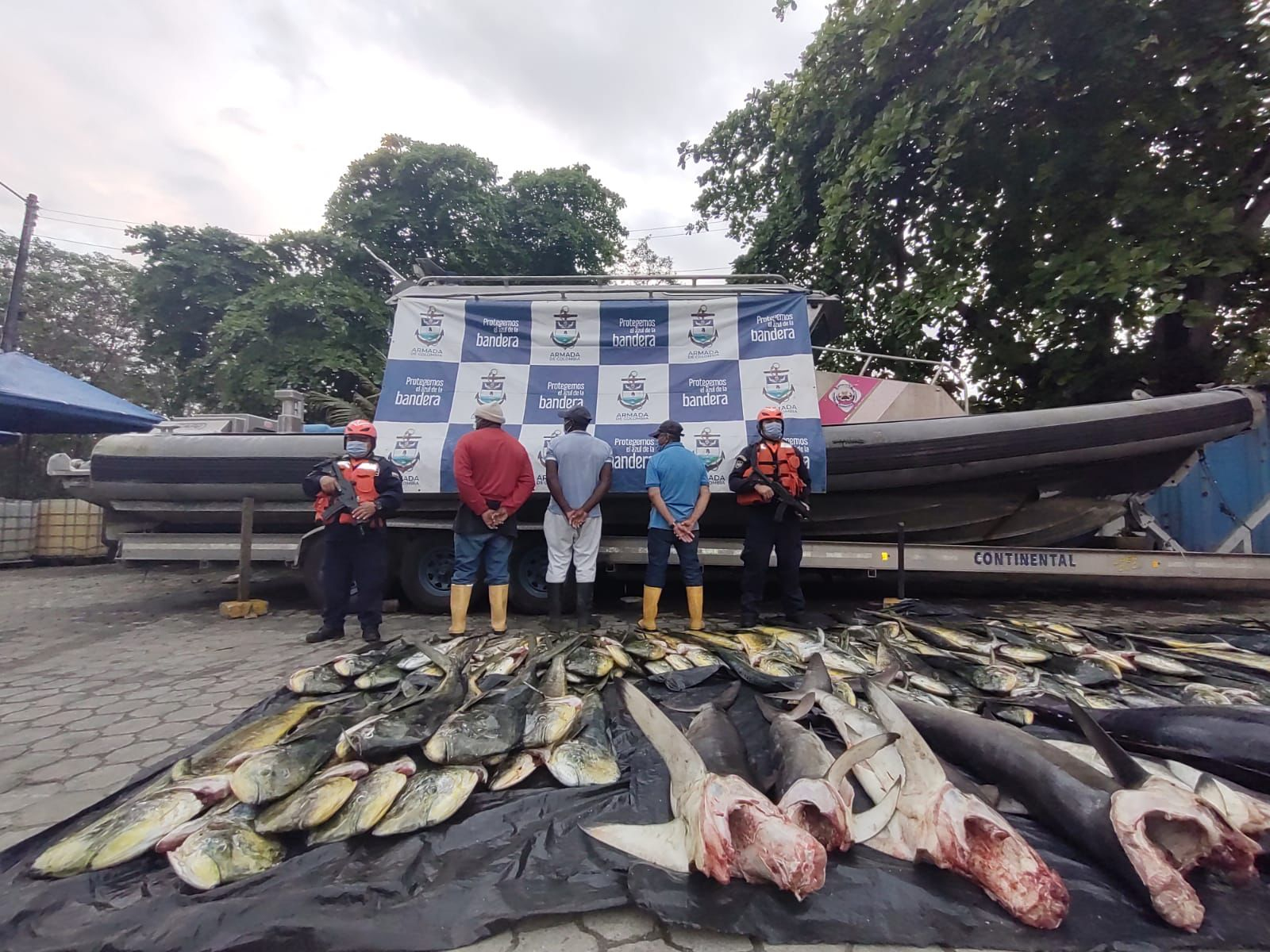 Fueron incautadas 1.6 toneladas de pesca transportadas ilegalmente en el pacífico nariñense