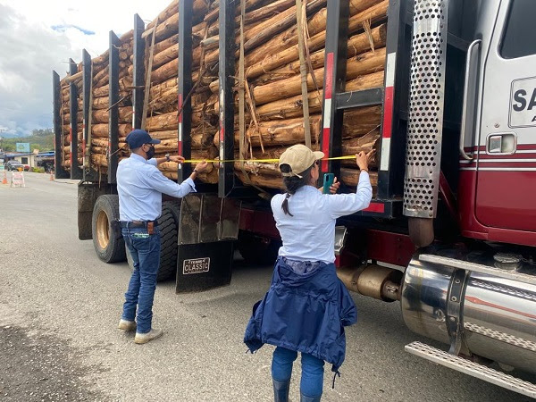 El decomiso de madera ilegal ha disminuido en una parte del pacífico vallecaucano