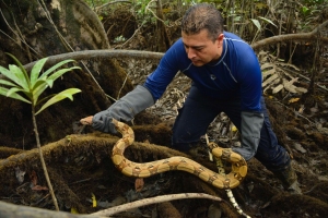 29 individuos de fauna silvestre fueron liberados en Buenaventura