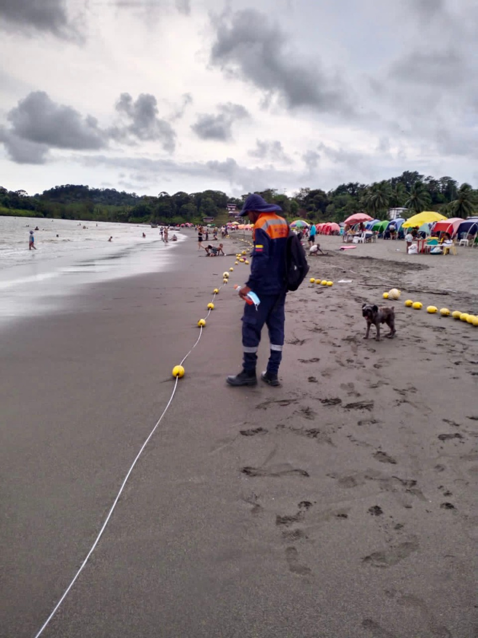 La Dimar asesoró técnicamente la instalación de 190 boyarines en Playa de Piangüita  