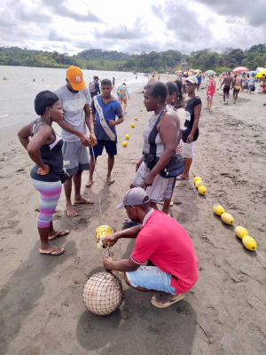 La Dimar asesoró técnicamente la instalación de 190 boyarines en Playa de Piangüita  