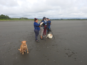 Se refuerza el monitoreo de aves en Buenaventura